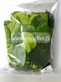 FRESH Thai Lime Leaves 50g